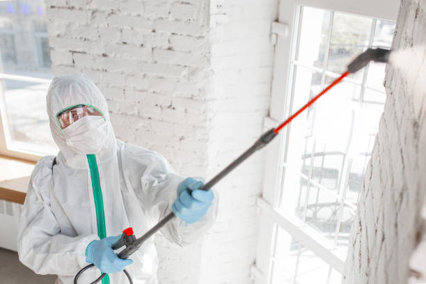 Best Health and Safety Mold Remediation in Biglerville, PA